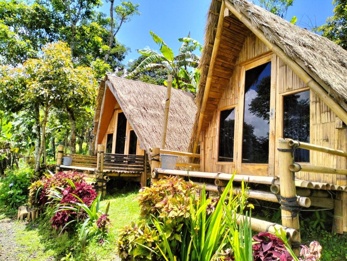 Wanagiri Campsite Gitgit Exterior foto