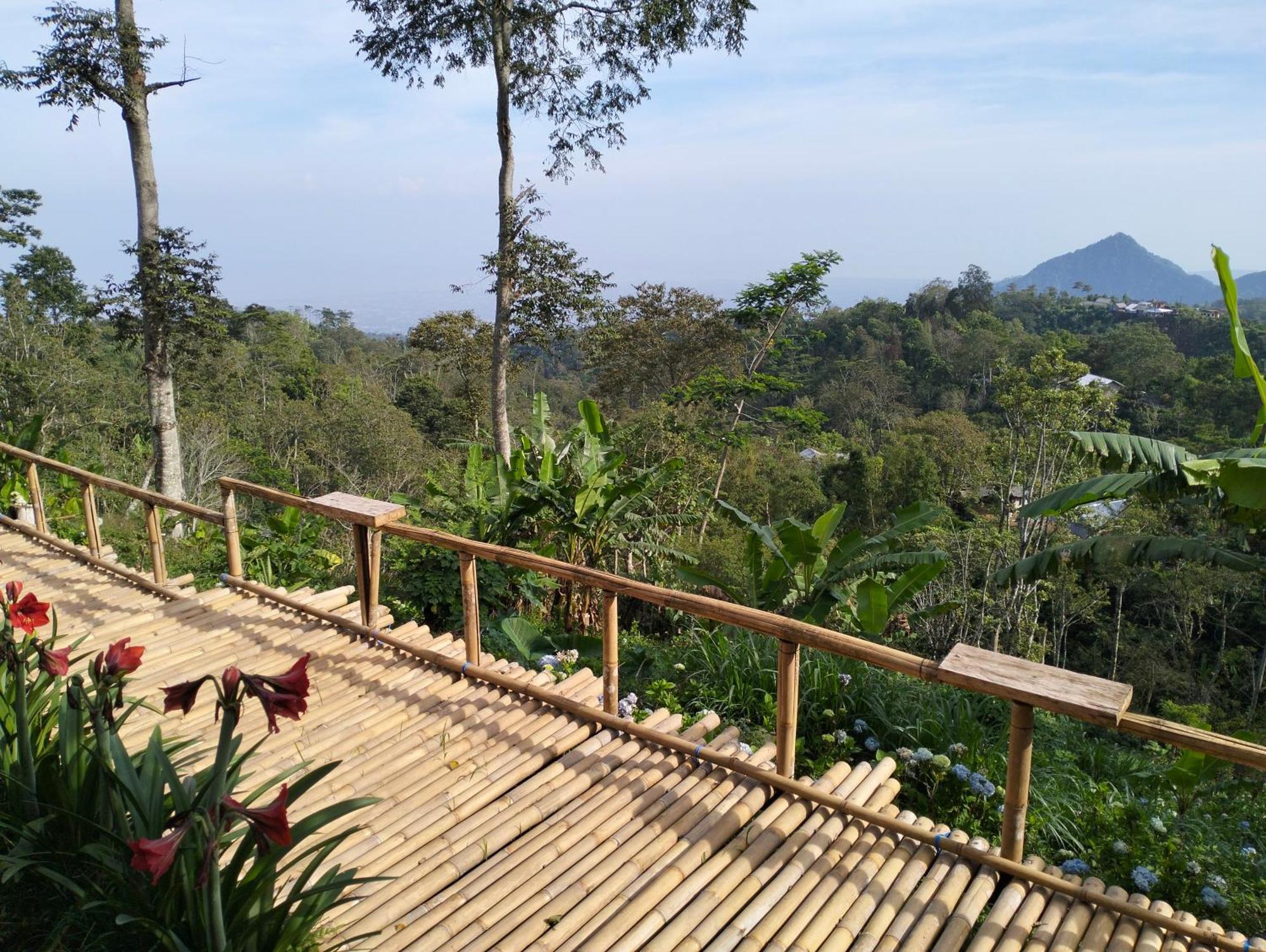 Wanagiri Campsite Gitgit Exterior foto