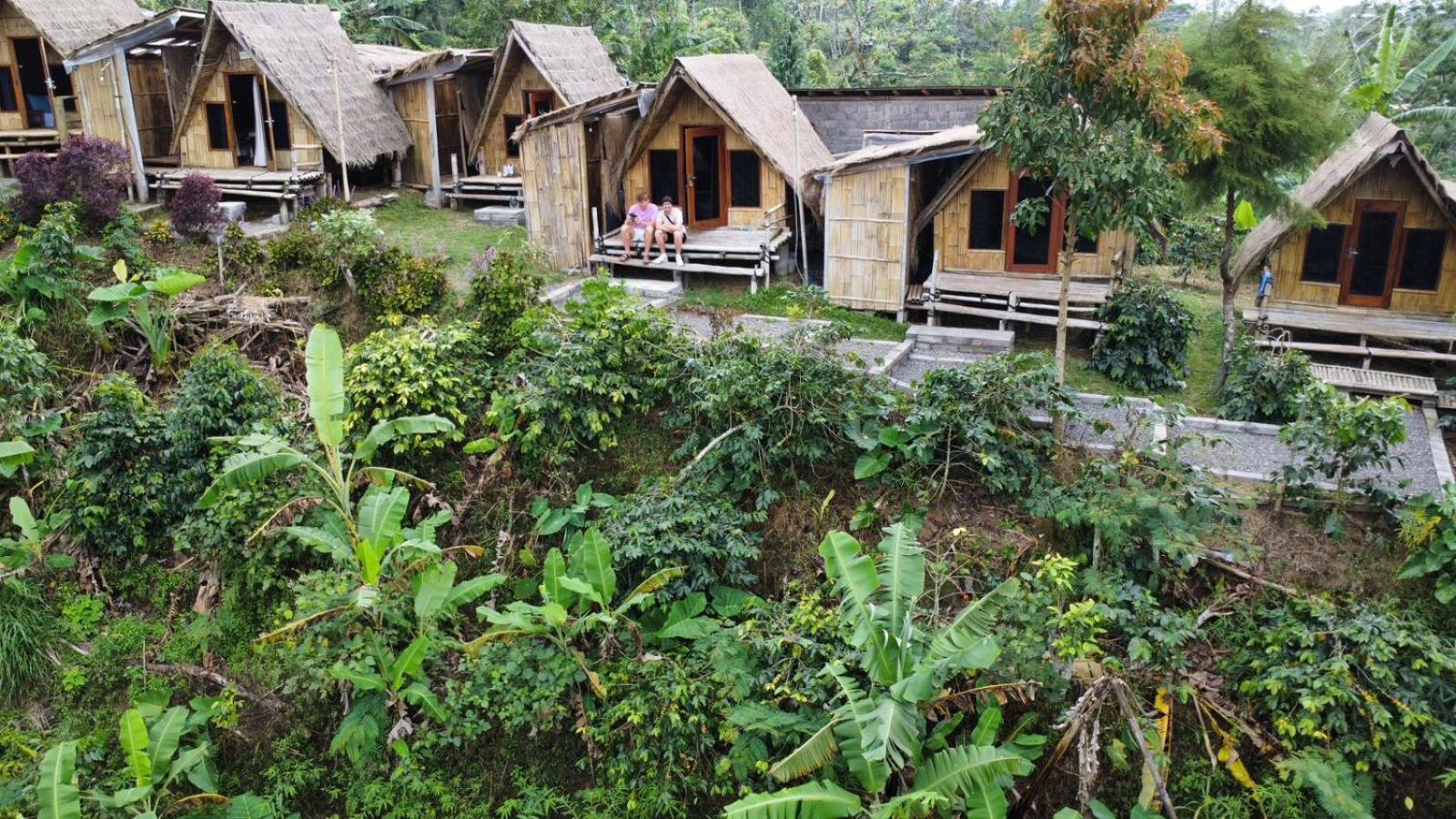 Wanagiri Campsite Gitgit Exterior foto